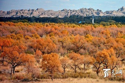 【南北疆】 新疆天山天池、火洲吐魯番、人間凈土喀納斯雙飛8日游